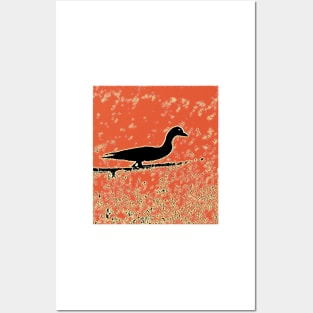 Duck Duck Shadow Posters and Art